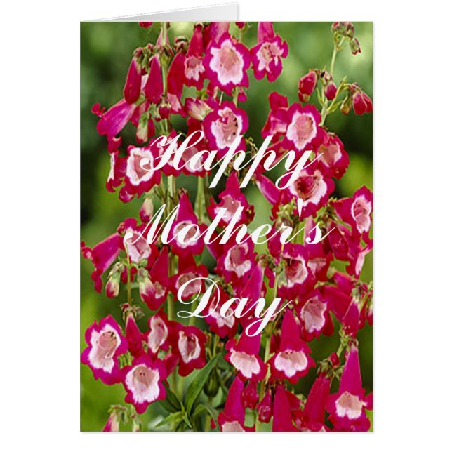 Snapdragon Flowers Greeting Card (Devant)