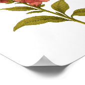 Snapdragon - Graciousness, misleiding Poster (Hoek)