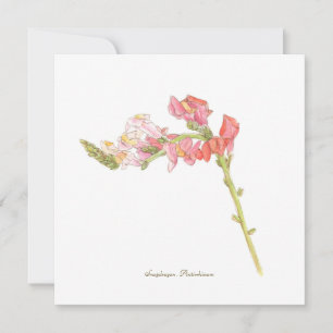 Snapdragon platte kaart