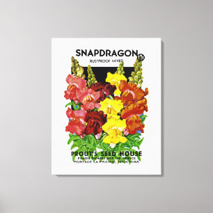 Snapdragon Seed Packet Canvas Afdruk