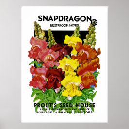 Snapdragon  Seed Packet Poster