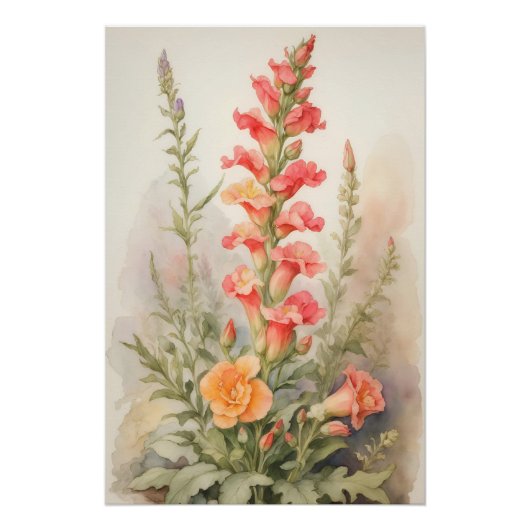 Snapdragon Splendor Perfect Poster (Voorkant)
