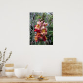 Snapdragon Striped Spring Floral Flowers Poster (Keuken)