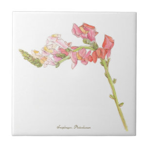 Snapdragon tegeltje