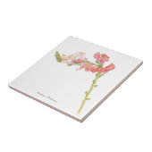 Snapdragon Tegeltje (Zijkant)