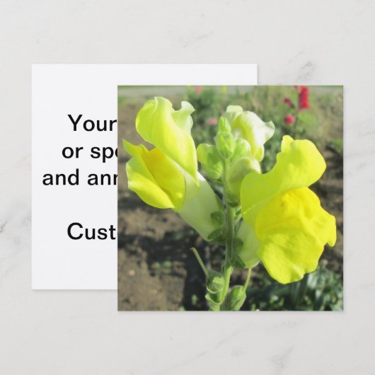 Snapdragon Yellow Flower Kaart (Voorkant / Achterkant)