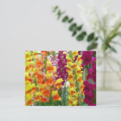 Snapdragons Colorful Floral (Staand voorkant)