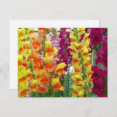 Snapdragons Colorful Floral (Voorkant / Achterkant)