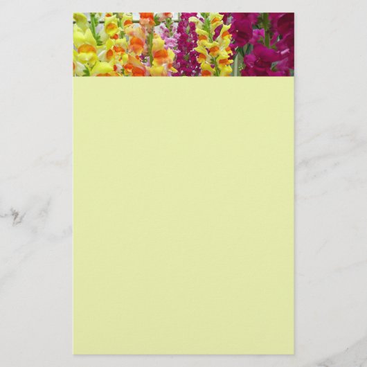 Snapdragons Colorful Floral Briefpapier (Voorkant)