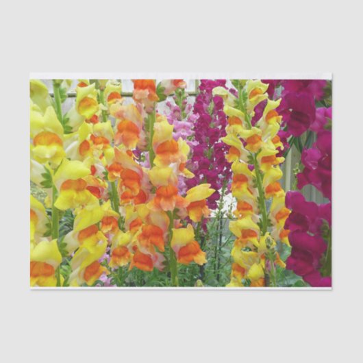 Snapdragons Colorful Floral Tissuepapier (Voorkant)