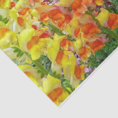 Snapdragons Colorful Floral Tissuepapier (Detail)