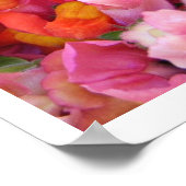 Snapdragons Poster (Hoek)