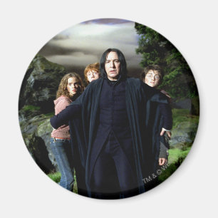 Snape Hermoine Ron Harry Magneet