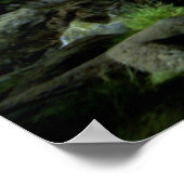 Snape Hermoine Ron Harry Poster (Hoek)