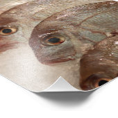 Snapper Fish Foto Afdruk (Hoek)