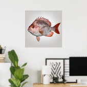 Snapper - Impression de poisson (Bureau à domicile)
