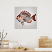 Snapper - Visprint Poster (Keuken)