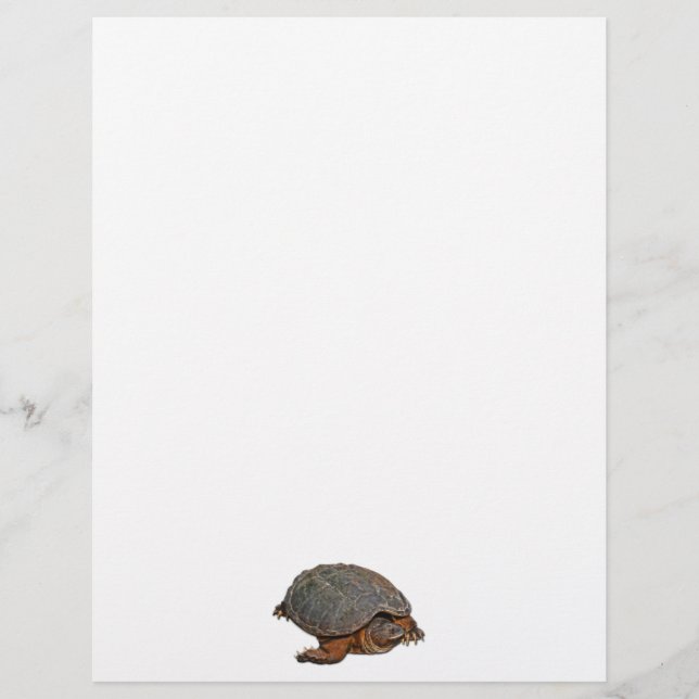 Snapping Turtle Terrapin-lover Gift (Voorkant)