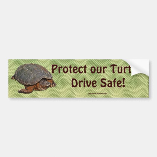 Snapping Turtle Terrapin-lover Gift Bumpersticker (Voorkant)