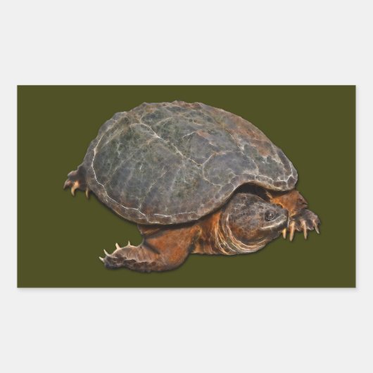 Snapping Turtle Terrapin-lover Gift Rechthoekige Sticker (Voorkant)