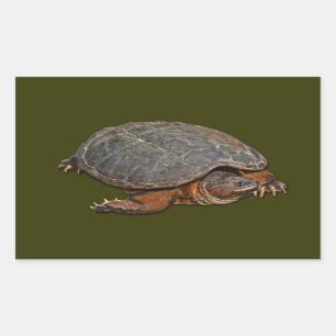 Snapping Turtle Terrapin-lover Gift Rechthoekige Sticker