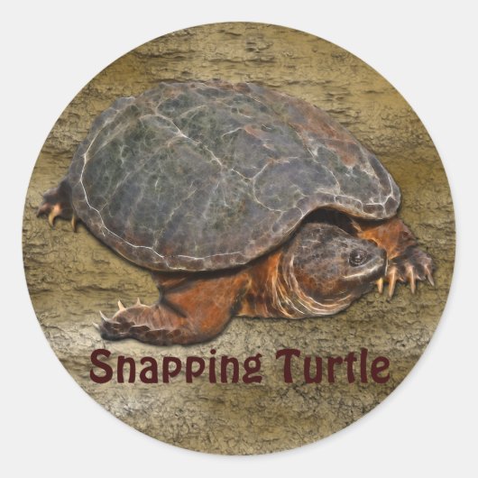 Snapping Turtle Terrapin-lover Gift Ronde Sticker (Voorkant)