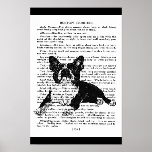 SNAPPY BOSTON BULL TERRIER  ART PRINT (Voorkant)