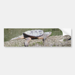 Snapschildpad Bumpersticker