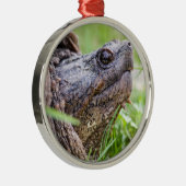 Snapschildpad Metalen Ornament (Rechts)
