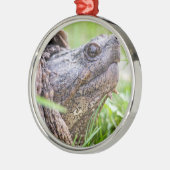 Snapschildpad Metalen Ornament (Links)