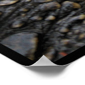 Snapschildpad Poster (Hoek)