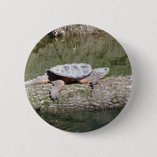 Snapschildpad Ronde Button 5,7 Cm (Voorkant)