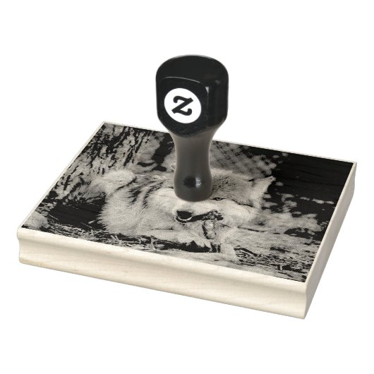 Snaptimer Rubberstempel (Stempel)