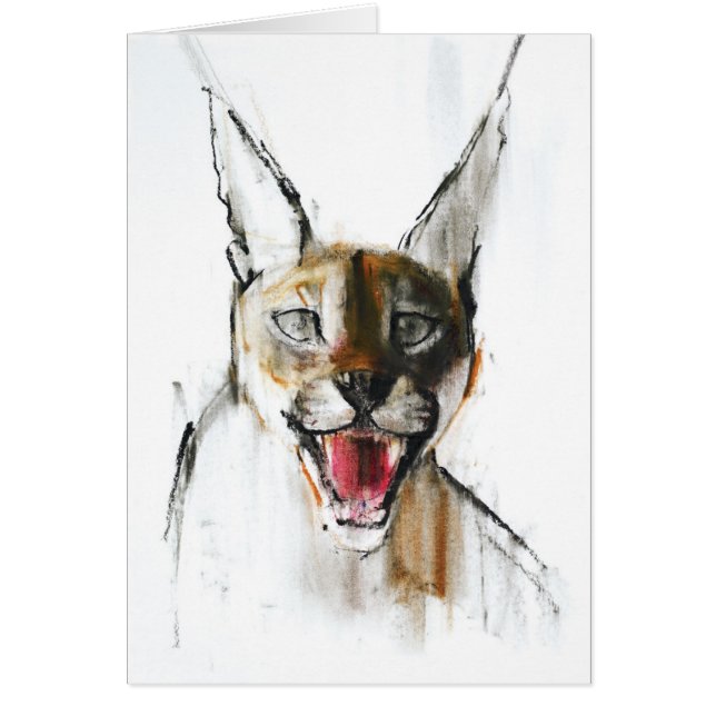 Snarl (Voorkant)