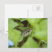 Sneaking Snake Briefkaart (Voorkant / Achterkant)