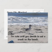 Sneaky Bird op Beach Briefkaart (Voorkant / Achterkant)