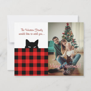 Sneaky Cat Buffalo met kerstcadeautjes Kaart Notitiekaartje