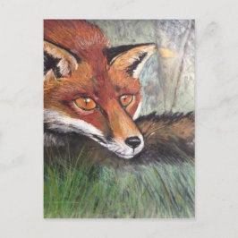 Sneaky Fox Briefkaart