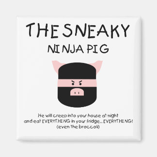 Sneaky Ninja Varken Magneet
