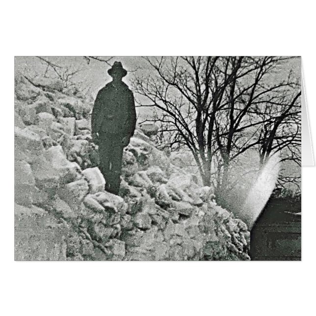 sneeuw (Voorkant Horizontaal)