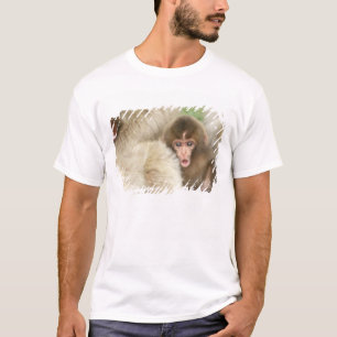 Sneeuw aap baby, Jigokudani, Nagano, Japan T-shirt