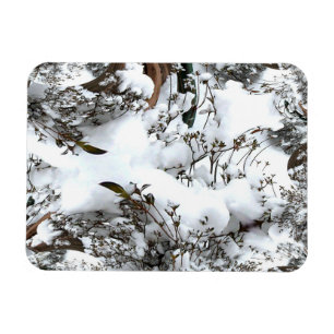 Sneeuw Abstract Magneet