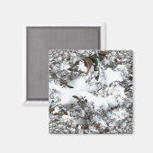 Sneeuw Abstract Magneet (Voorkant / Achterkant)