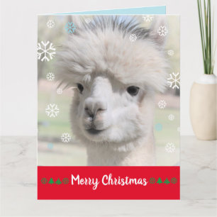 Sneeuw Alpaca Kerstkaart Kaart