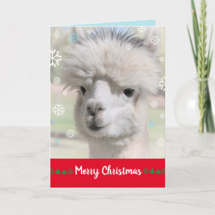 Sneeuw Alpaca Kerstkaart Kaart