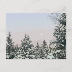 Sneeuw bedekt met pijnbomen briefkaart