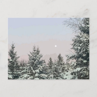 Sneeuw bedekt met pijnbomen briefkaart