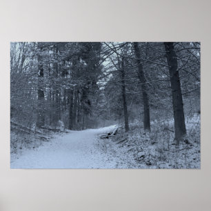 Sneeuw bedekt wandelpad 1 poster
