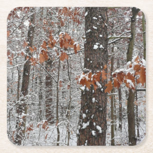 sneeuw bedekte eikenbomen WinterNatuur fotografie Vierkante Kartonnen Onderzetter
