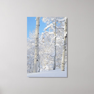 Sneeuw bedekte Espen, Beartrap-Desolation Ridge Canvas Afdruk